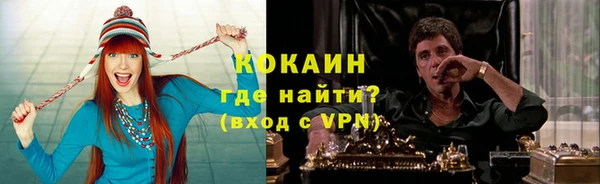 дживик Алексин