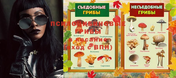 дживик Алексин