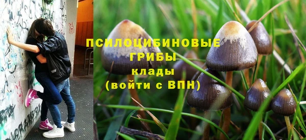 крисы Алексеевка