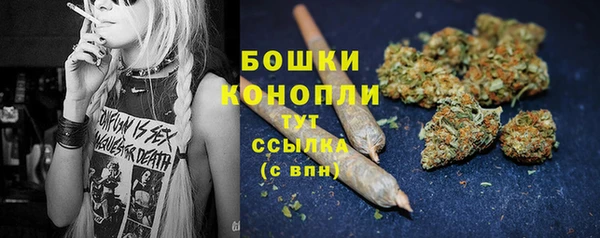прущий лед Пересвет