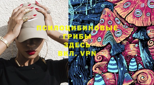 дживик Алексин