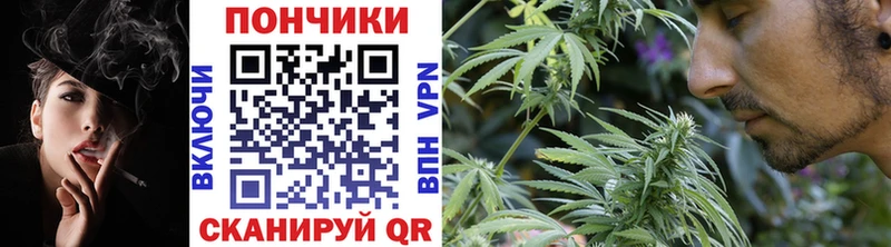 Марихуана Amnesia  Пошехонье 