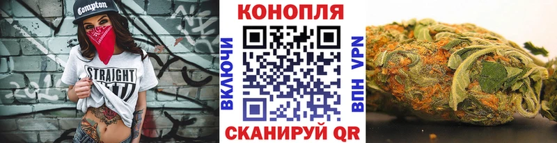 Конопля индика Пошехонье